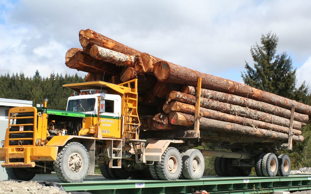 portable truck scales for forestry canada