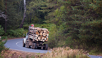 portable truck scales canada